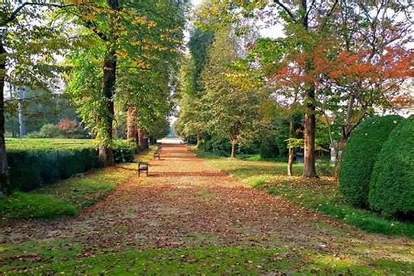 Villas That Offer Cultural Insights