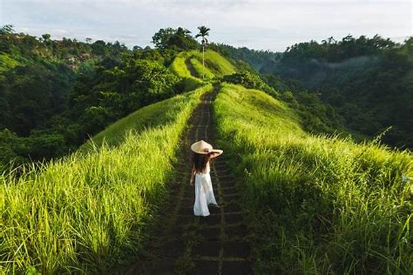 Green Eco Tours Ubud Jungle