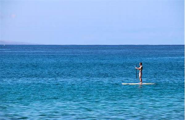 Ocean View Villa With Paddleboarding