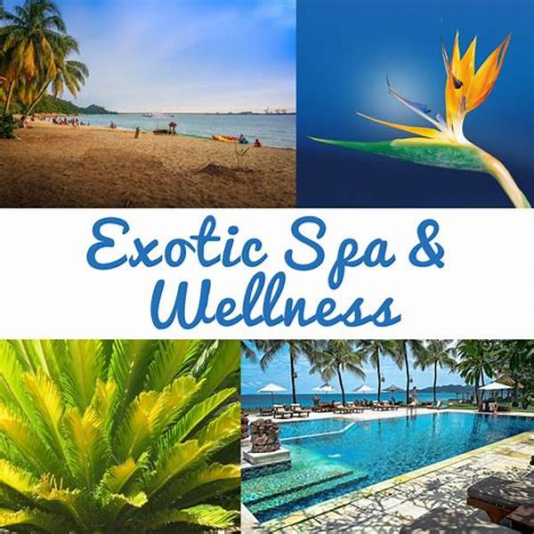 Exotic Spa And Wellness Sanctuary