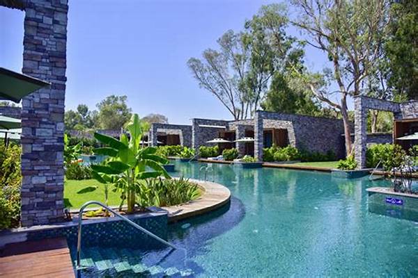 Luxury Lagoon Pool Accommodation Options