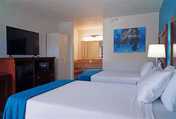 Premium Lodging For High-profile Clients
