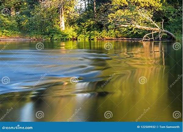 Quiet Sanctuaries By Canadian Lakes
