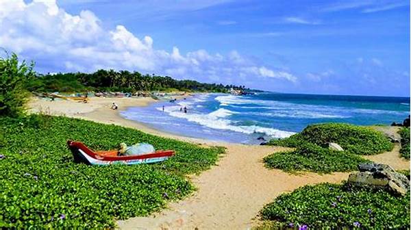 Serenity Beach Trips For Partners.