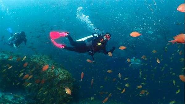 Shoreline Villa With Scuba Diving Options