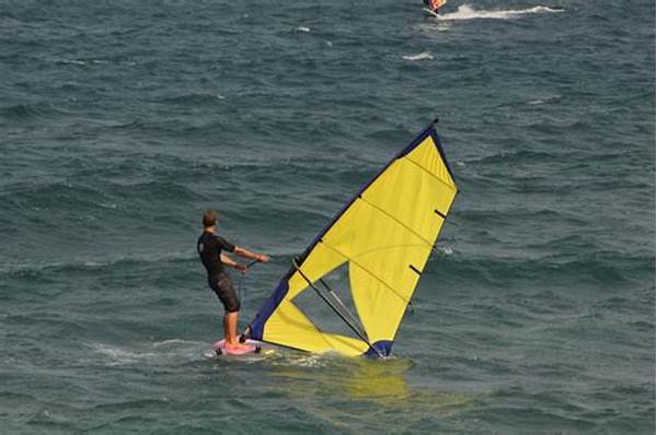 Vip Sailing And Windsurfing Sessions