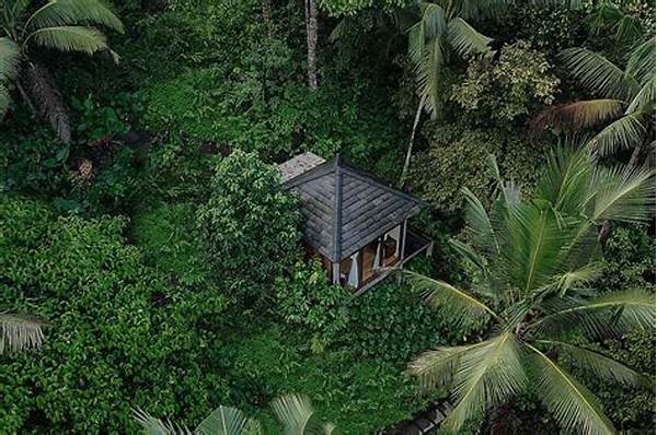 Jungle Retreats Promoting Sustainability Bali
