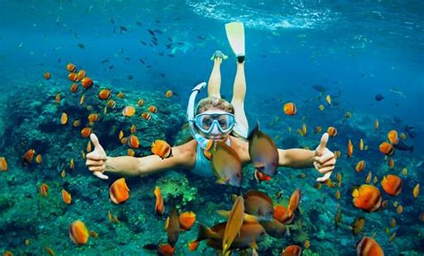 Seaside Lodging With Snorkeling Tours
