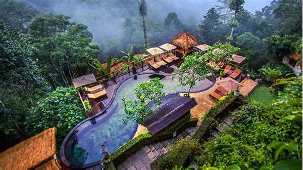Ubud Rainforest Retreat Experiences