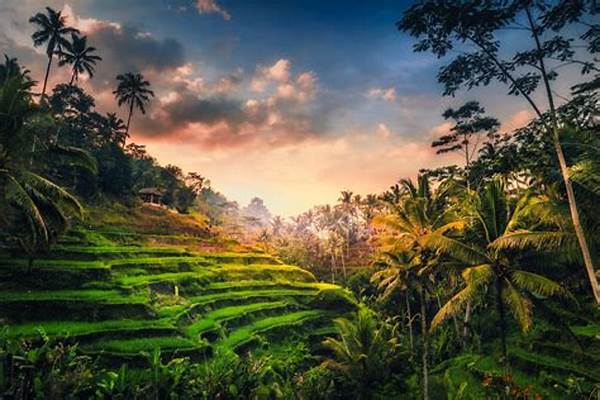 Ubud’s Eco-tourism Attractions
