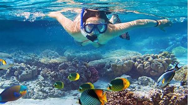 Maldives Snorkeling Family Tours