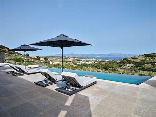 Villa With Luxury Swimming Services