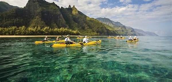 “ocean Kayaking Guided Tours”