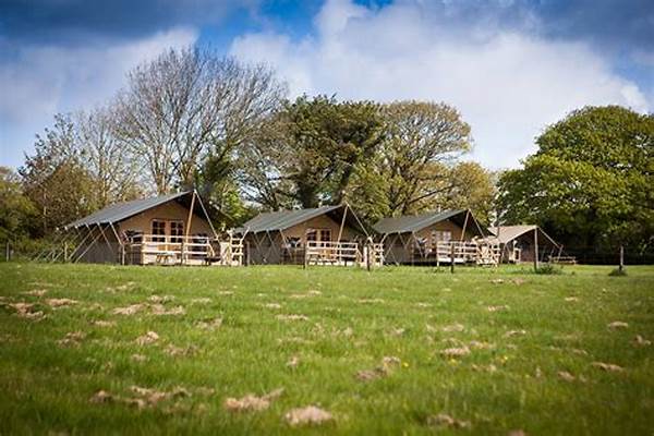 Peaceful Remote Countryside Accommodation