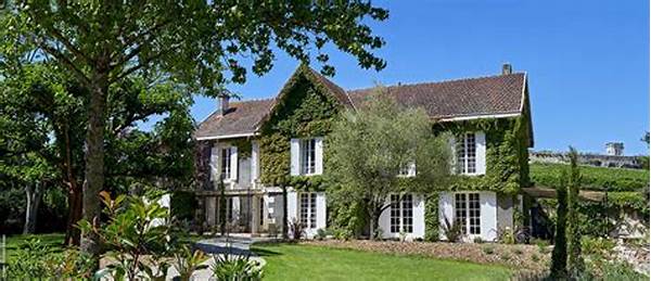 Top Vineyard Villa Holiday Spots