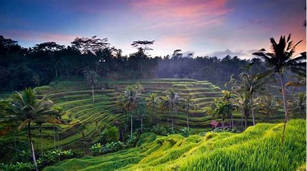 Eco-conscious Tours Ubud Bali