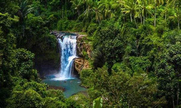 Bali Jungle Retreats For Sustainability