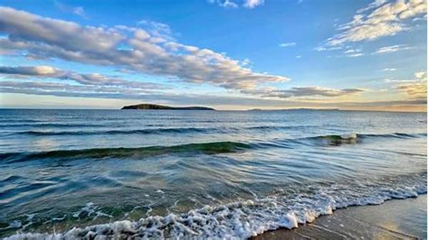 Peaceful Ocean View Resort Experience