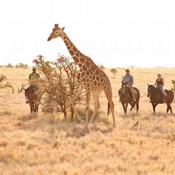 Idyllic Sanctuaries With Wild Sights