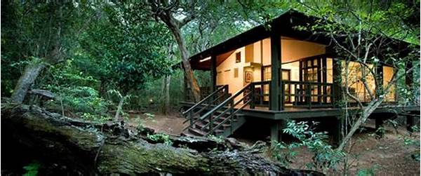 Mindful Eco-lodges Surrounded By Nature